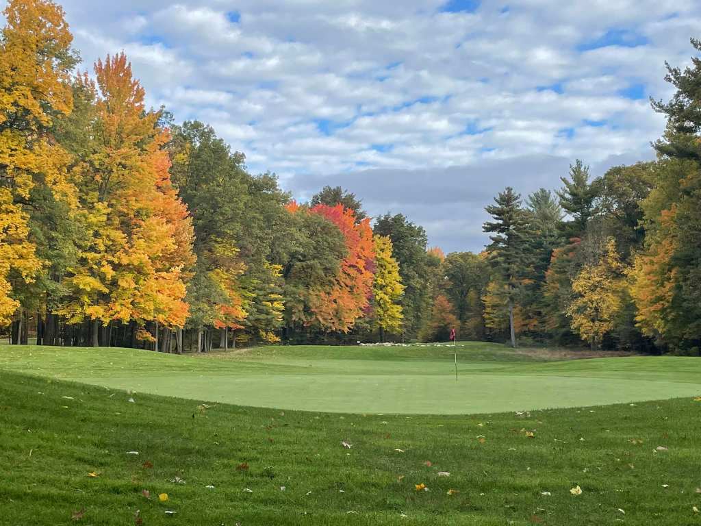 Trees on golf course